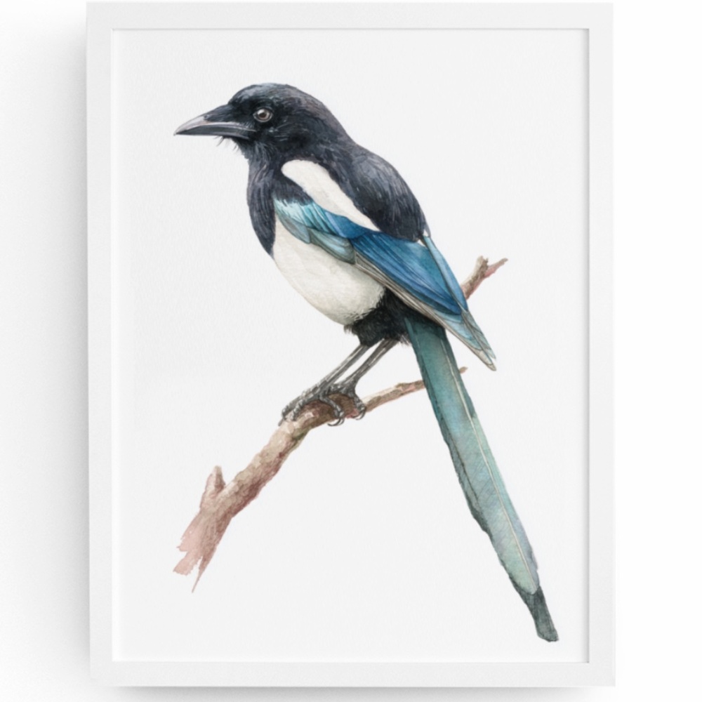Watercolor Magpie Bird Wall Art Print, Unframed - Elegant Nature-Inspired Decor